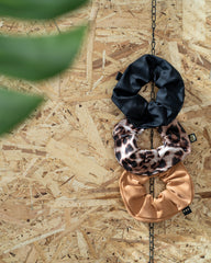 Chinchilla 3-Pack - Desert Dream